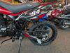 2025 Daix Viper Dirt Bike 150cc | Daytona Beach, FL | Midtown Motorcycles & Scooters 2025 Daix Viper Dirt Bike 150cc | Daytona Beach, FL | Midtown Motorcycles & Scooters
