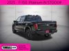 2025 Ford F-150 Platinum | Tomball, TX | Ask Jorge Lopez