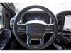 2025 Ford F-150 Platinum | Tomball, TX | Ask Jorge Lopez