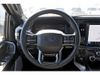2025 Ford F-150 Platinum | Tomball, TX | Ask Jorge Lopez