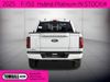 2025 Ford F-150 Platinum | Tomball, TX | Ask Jorge Lopez