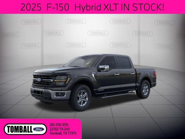 2025 Ford F-150 XLT | Tomball, TX | Ask Jorge Lopez