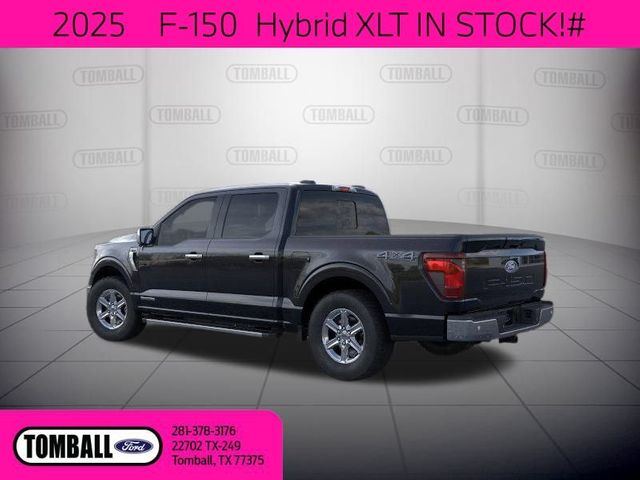 2025 Ford F-150 XLT
