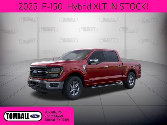 2025 Ford F-150 XLT | Tomball, TX | Ask Jorge Lopez