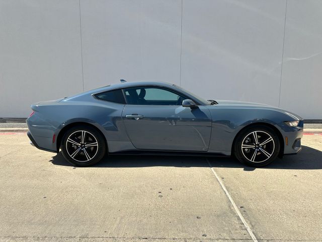 2025 Ford Mustang EcoBoost | Irving, Texas | Hopper Motorplex 2025 Ford Mustang EcoBoost | Irving, Texas | Hopper Motorplex