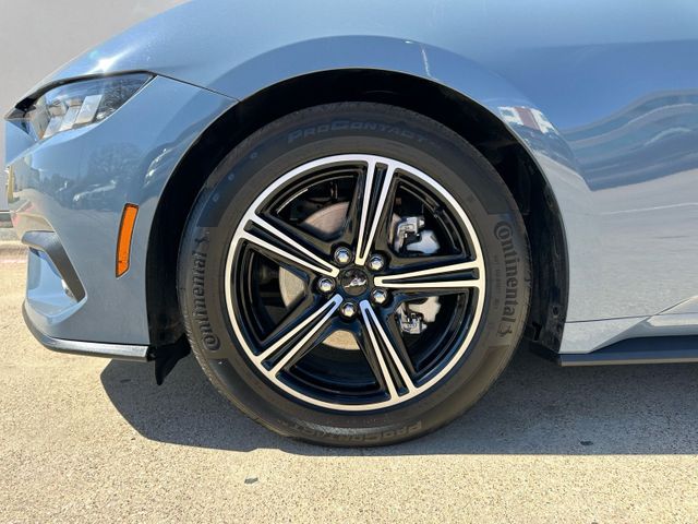 2025 Ford Mustang EcoBoost | Irving, Texas | Hopper Motorplex