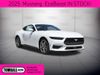2025 Ford Mustang EcoBoost | Tomball, TX | Ask Jorge Lopez 2025 Ford Mustang EcoBoost | Tomball, TX | Ask Jorge Lopez