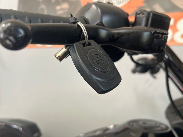 2025 Harley-Davidson Road Glide Base