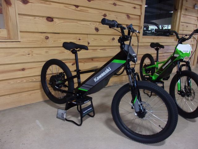 2025 Kawasaki ELEKTRODE® 20 2025 Kawasaki ELEKTRODE® 20