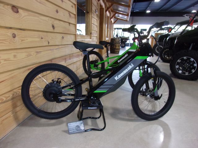 2025 Kawasaki ELEKTRODE® 20 2025 Kawasaki ELEKTRODE® 20