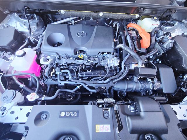 2025 Toyota RAV4 Hybrid XLE Premium | Ellisville, MO | AutoPort 2025 Toyota RAV4 Hybrid XLE Premium | Ellisville, MO | AutoPort