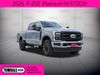 2026 Ford F-250 Super Duty Platinum | Tomball, TX | Ask Jorge Lopez