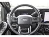 2026 Ford F-250 Super Duty Platinum | Tomball, TX | Ask Jorge Lopez