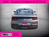2026 Ford Mustang EcoBoost | Tomball, TX | Ask Jorge Lopez 2026 Ford Mustang EcoBoost | Tomball, TX | Ask Jorge Lopez