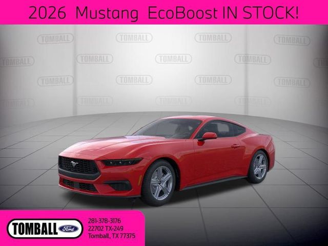 2026 Ford Mustang EcoBoost | Tomball, TX | Ask Jorge Lopez