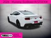 2026 Ford Mustang EcoBoost | Tomball, TX | Ask Jorge Lopez 2026 Ford Mustang EcoBoost | Tomball, TX | Ask Jorge Lopez