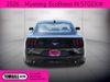2026 Ford Mustang EcoBoost | Tomball, TX | Ask Jorge Lopez 2026 Ford Mustang EcoBoost | Tomball, TX | Ask Jorge Lopez